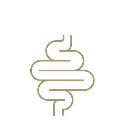 Icon: Mikrobiom & Darmsanierung